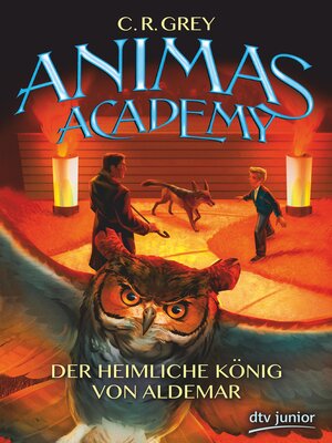 cover image of Animas Academy – Der heimliche König von Aldemar
